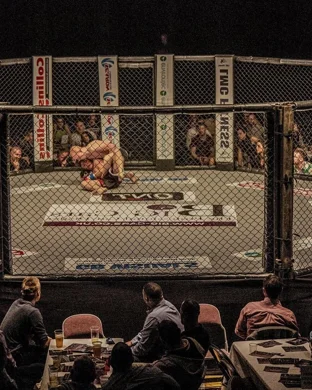 ONE Championship 173