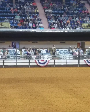 American Bull Fighting