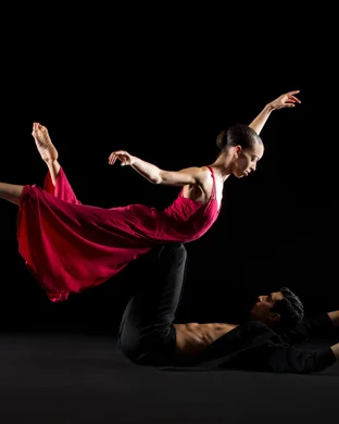 Pilobolus